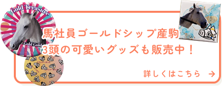 馬社員ゴールドシップ産駒3頭の可愛いグッズも販売中！詳しくはこちら➡
